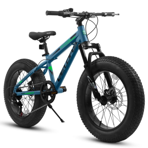 Raistyw 20 inch Fat Tire Bike, Adult 7 Speed Mountain Bike with Dual Disc Brakes, High Carbon Steel Frame, Front Suspension, Blue