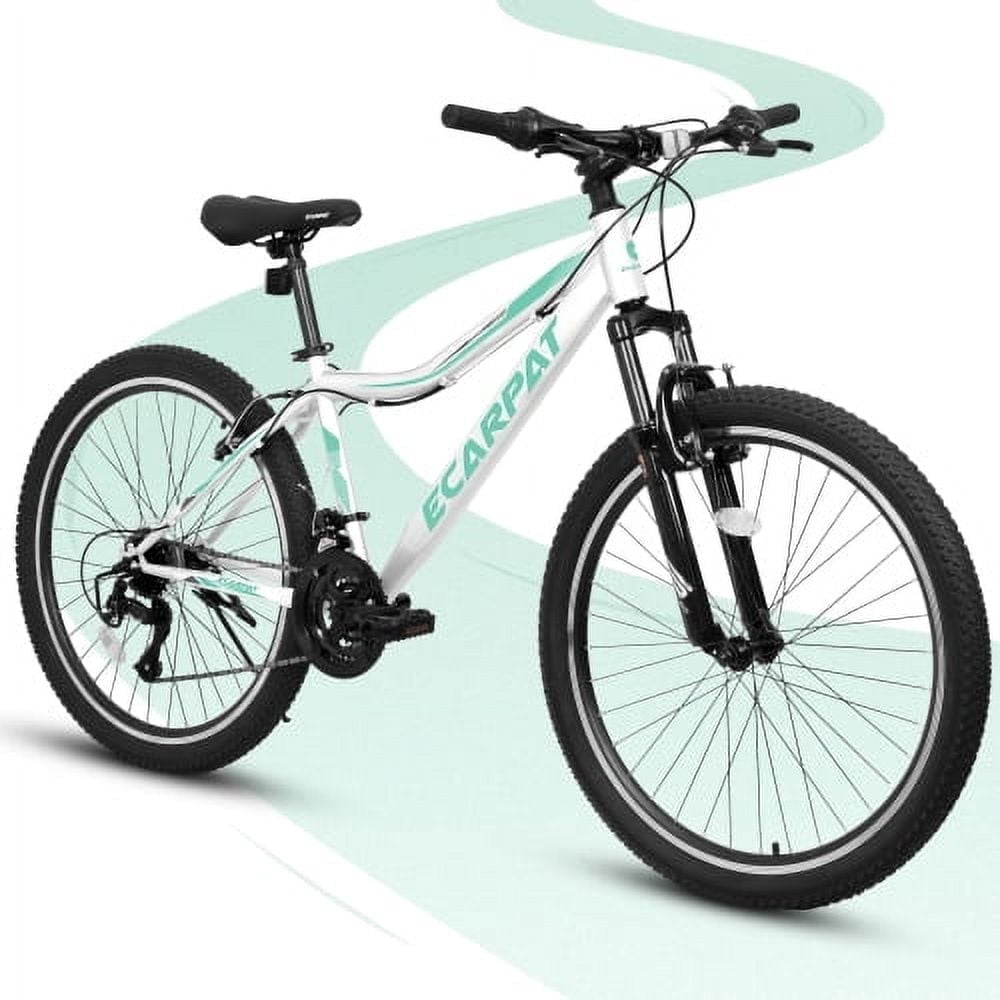 Raistyw 24 inch Mountain Bike, 21-Speed Mountain Bike for Men with V-Brake, Front Suspension, Carbon Steel Frame Adult Bicycles, White and Green