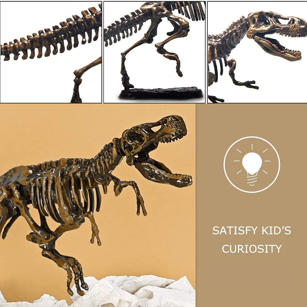 Tyethy Dinosaur Toys Fossil Excavation Kits for Kids with Chisel, Dinosaur Eggs Toys for 3+ Years