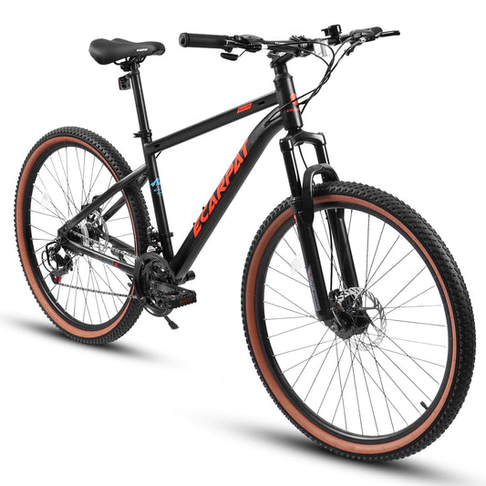Raistyw 24 inch Mountain Bike for Men, Adult Mountain Bike with 21 Speeds and Dual Disc Brakes, Black