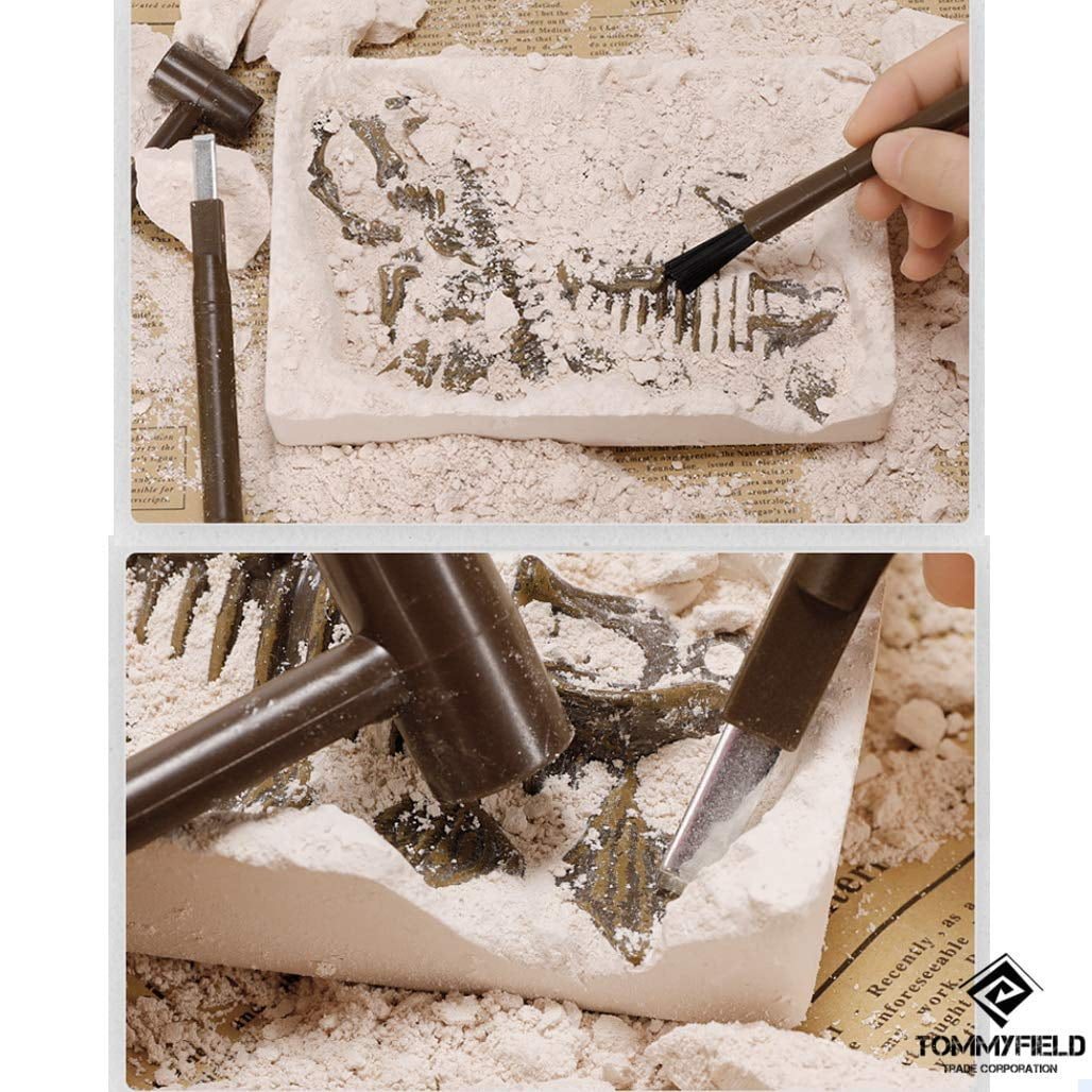 Tyethy Dinosaur Toys Fossil Excavation Kits for Kids with Chisel, Dinosaur Eggs Toys for 3+ Years