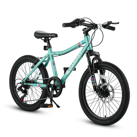 Kids Bikes, 20 inch Bike for Ages 8-12 Boys and Girls, 7 Speed, 14 Inch Height Steel Frame, Green