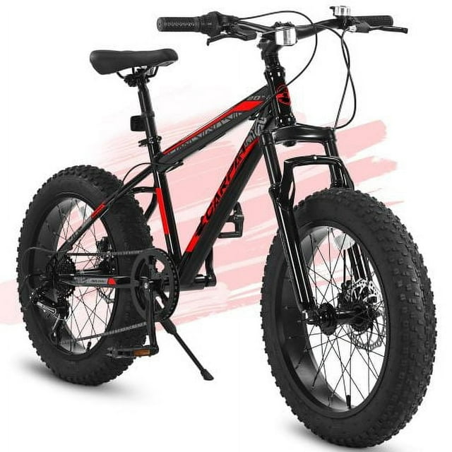 Raistyw 20 inch Wheels Mountain Bike,4" Wide Fat Tire Snow Bike for Women and Men ,7 Speed Bicycles, Red
