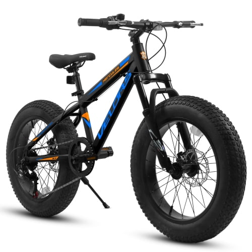 Raistyw 20 inch Fat Tire Bike, Adult 7 Speed Mountain Bike with Dual Disc Brakes, High Carbon Steel Frame, Front Suspension, Black