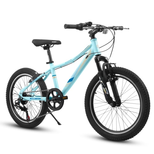Raistyw 20 inch Mountain Bike Bicycle, Shimano 21 Speed Front Suspension Bicycle with V-Brake, Carbon Steel Bike for Outdoor, Blue