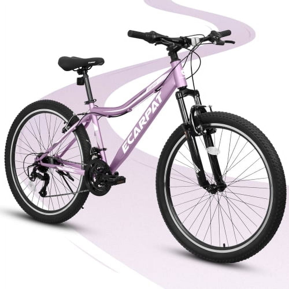 Raistyw 24 inch Mountain Bike, 21-Speed Mountain Bike for Women with V-Brake, Front Suspension, Carbon Steel Frame Adult Bicycles, Purple