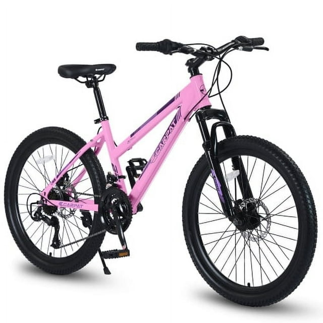 Raistyw 24 inch Mountain Bike for Women, Shimano 21 Speeds Bicycles with Dual Disc Brakes and 100mm Front Suspension ,Pink