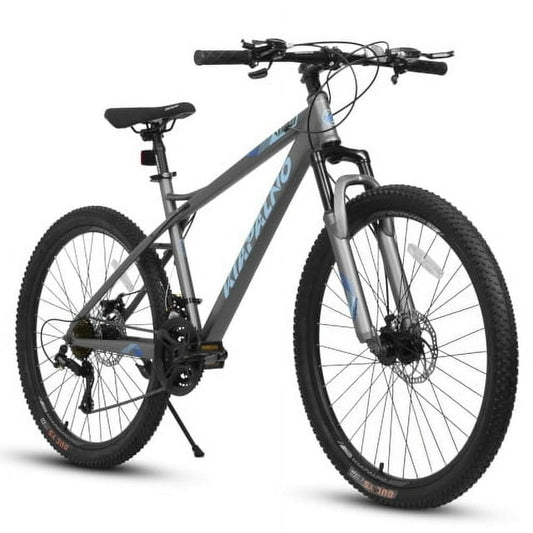 Raistyw 26 inch Mountain Bike for Womens, 21 Speed with High-Carbon Steel Frame Bike for Adults, Dual Disc Brake, Blue